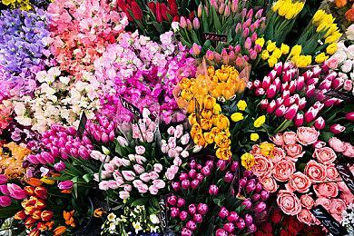 《战神4》PC版1.06补丁上线 提高FSR质量