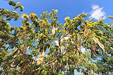 《惩戒魅魔》加入同伴自定义功能 给同伴捏脸化妆
